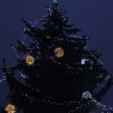 Rozsvícení vánočního stromu 24. 11. 2022